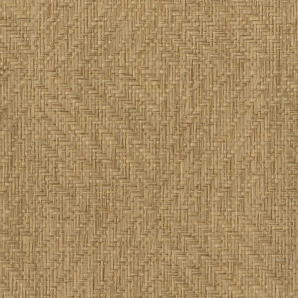 Campos 8400092
