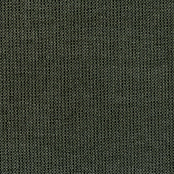 Campos 8400095