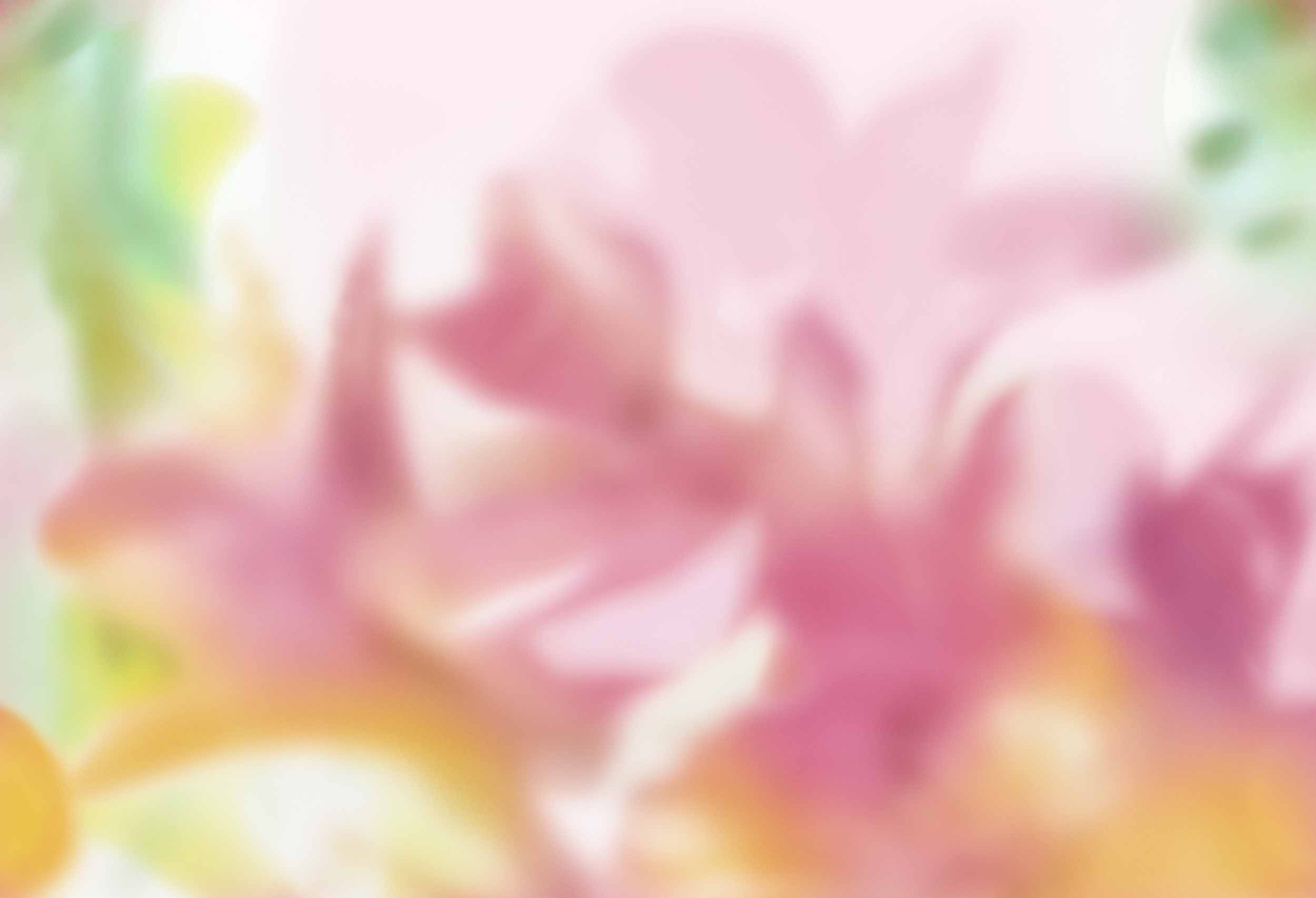 Coco Davez C00143