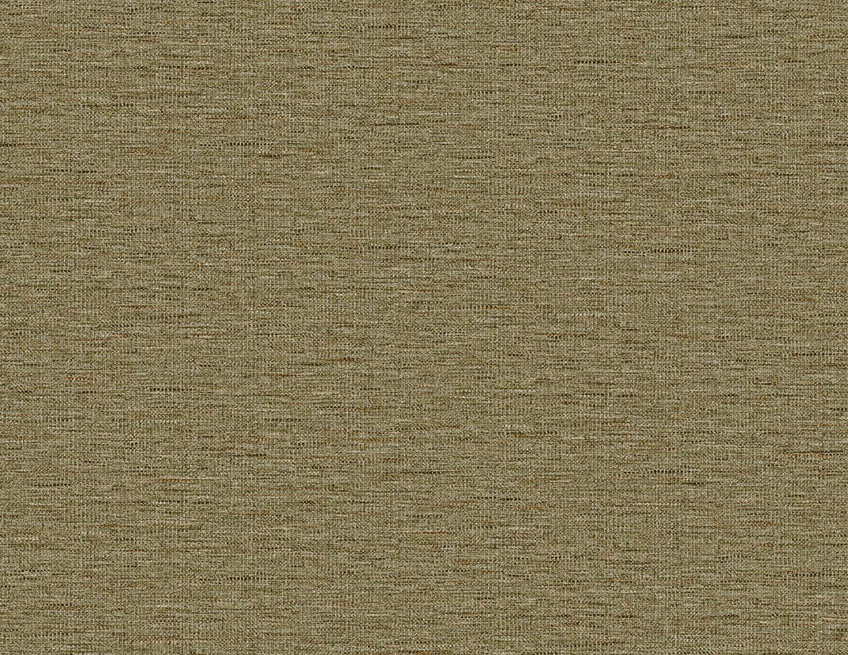 Carl Robinson 21 CL70406