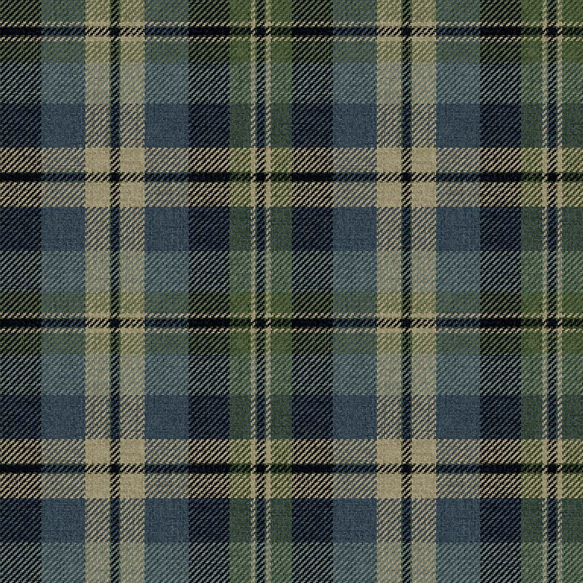 Carl Robinson 21 CL71102