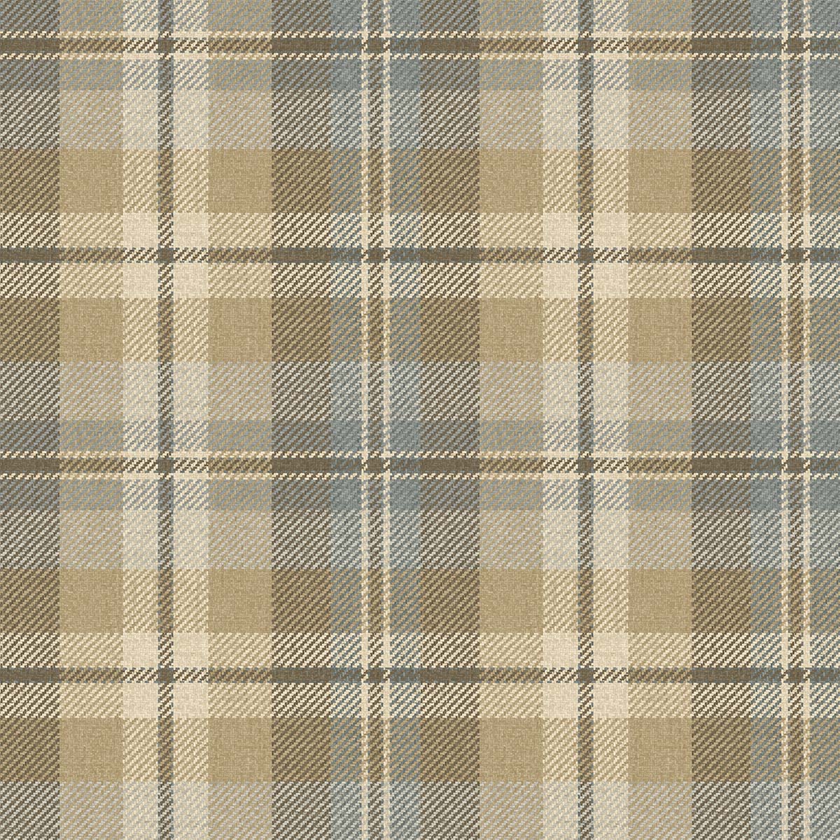 Carl Robinson 21 CL71105