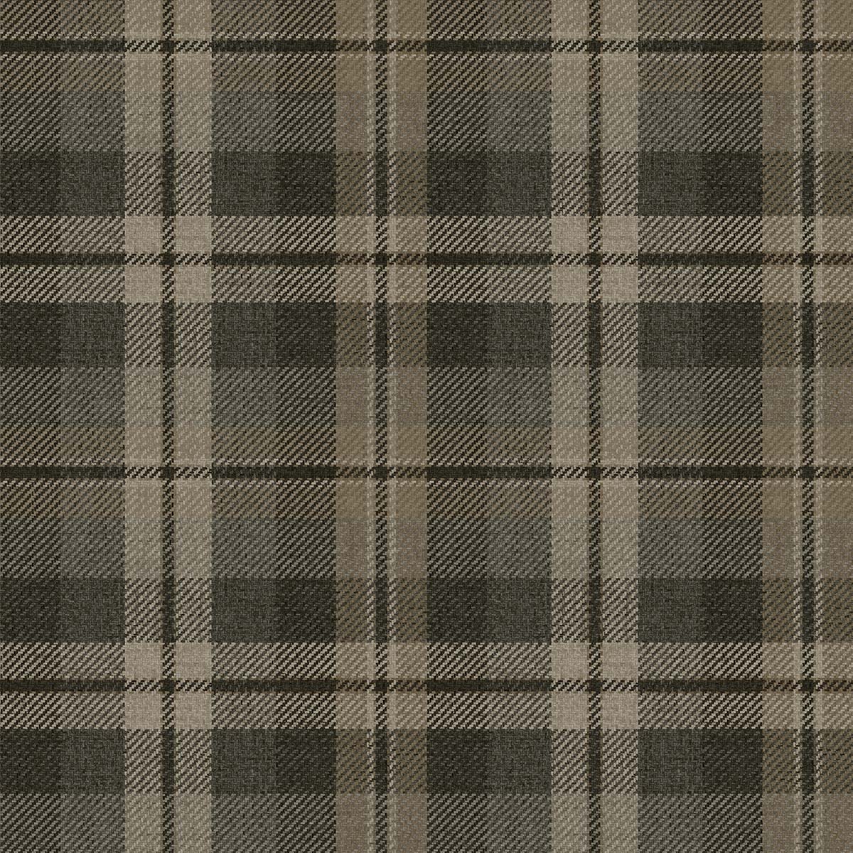 Carl Robinson 21 CL71107