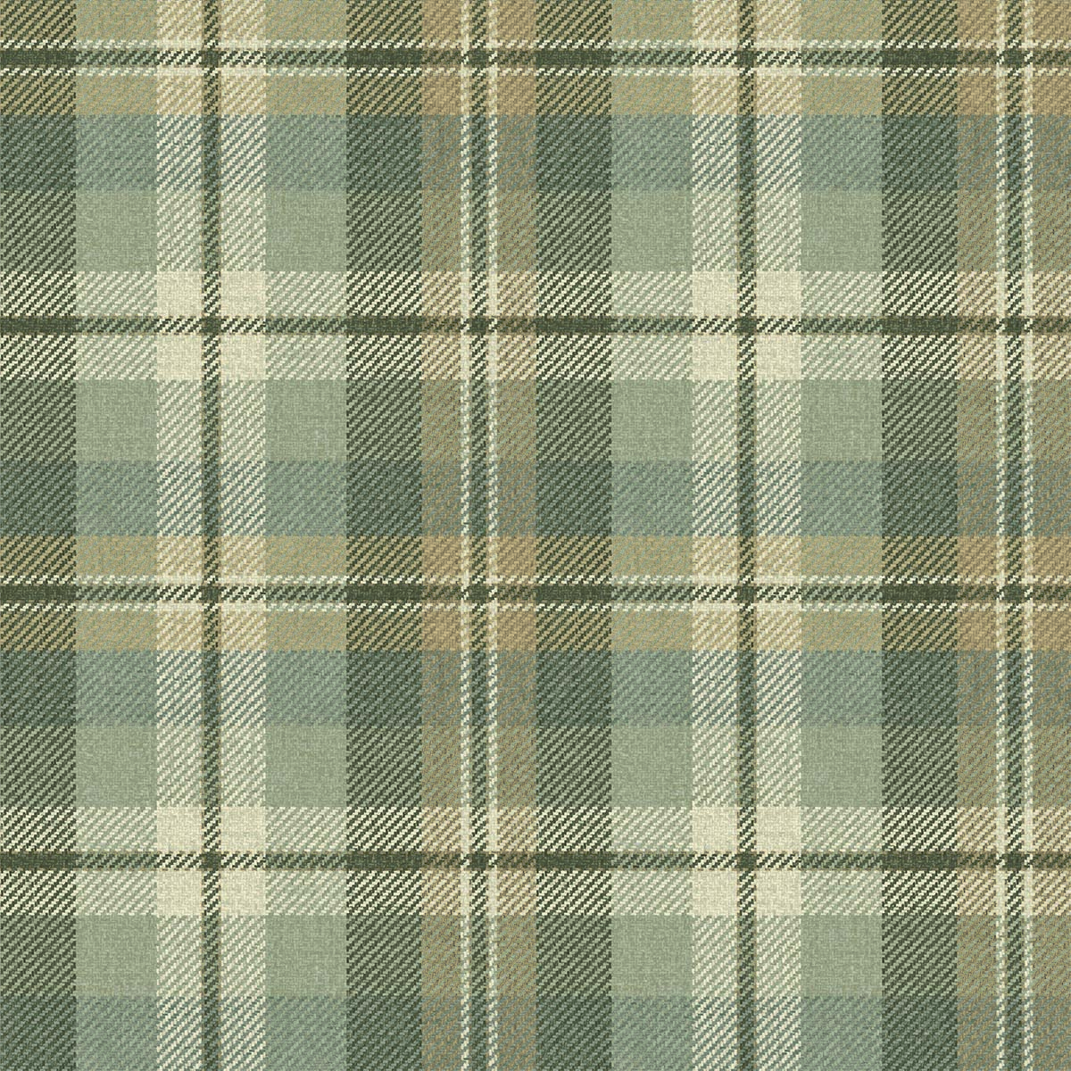 Carl Robinson 21 CL71108