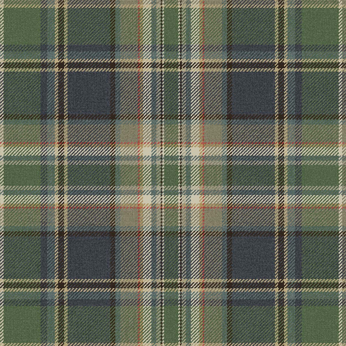 Carl Robinson 21 CL71204