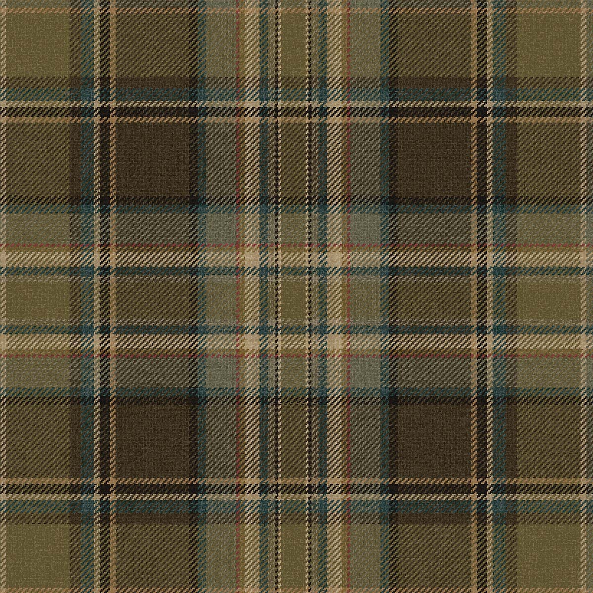 Carl Robinson 21 CL71206