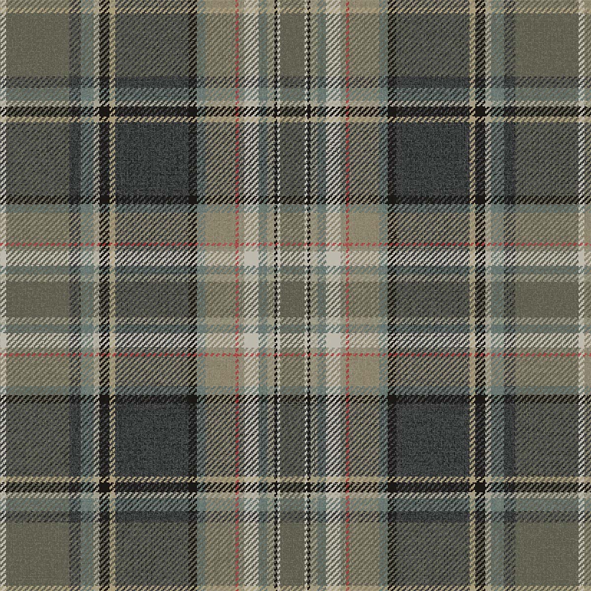 Carl Robinson 21 CL71208