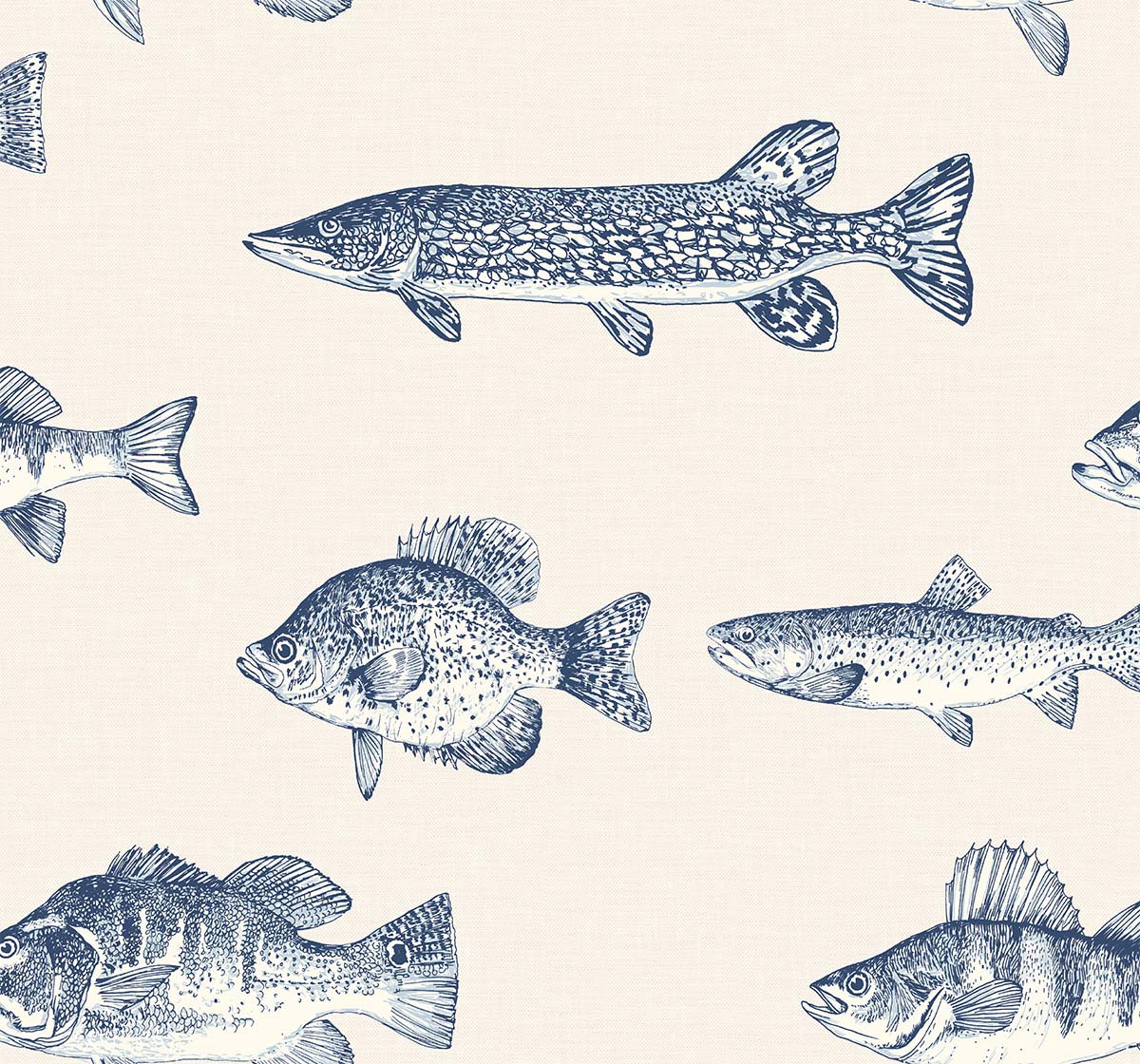 Carl Robinson 21 CL71402