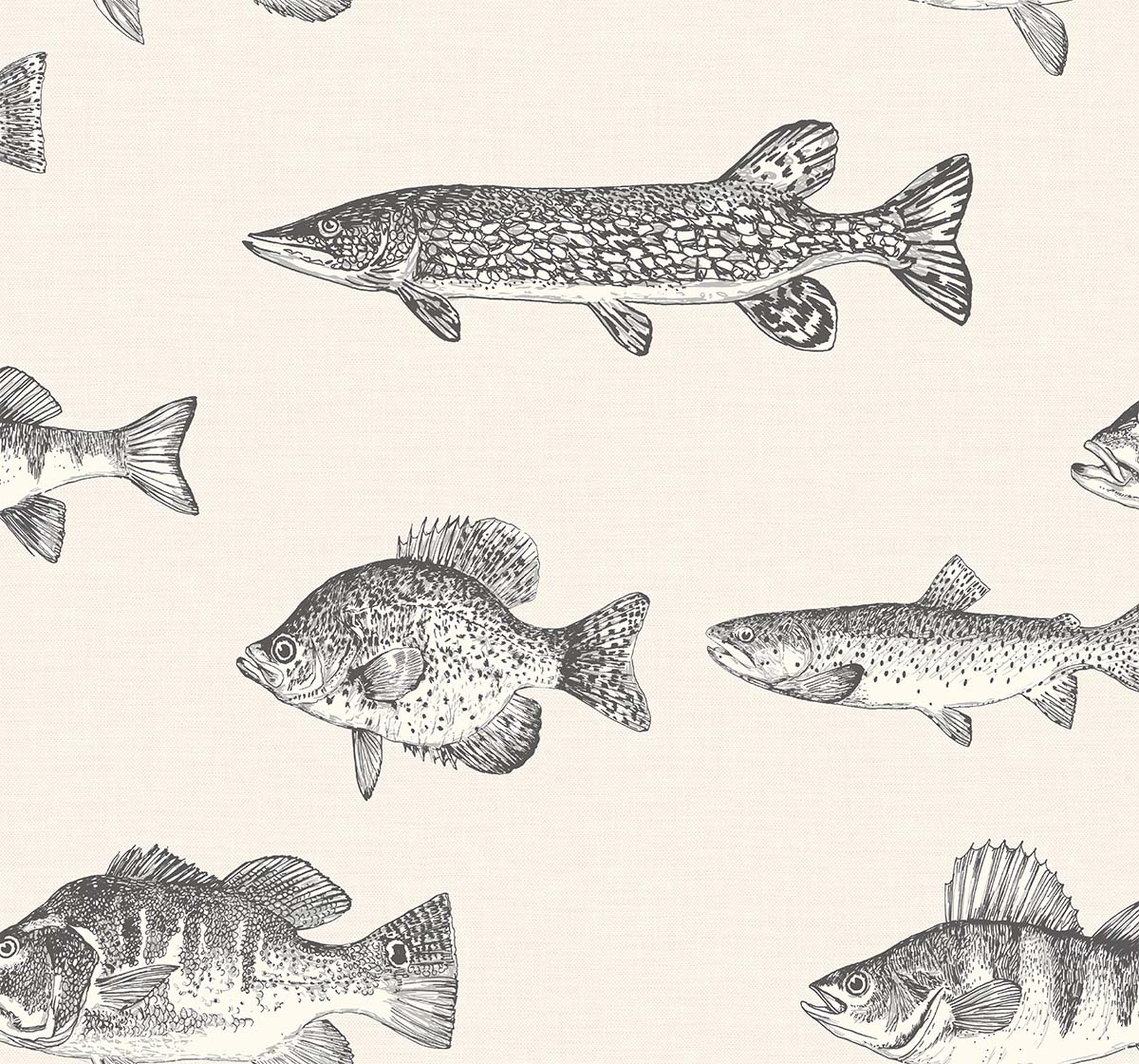 Carl Robinson 21 CL71408