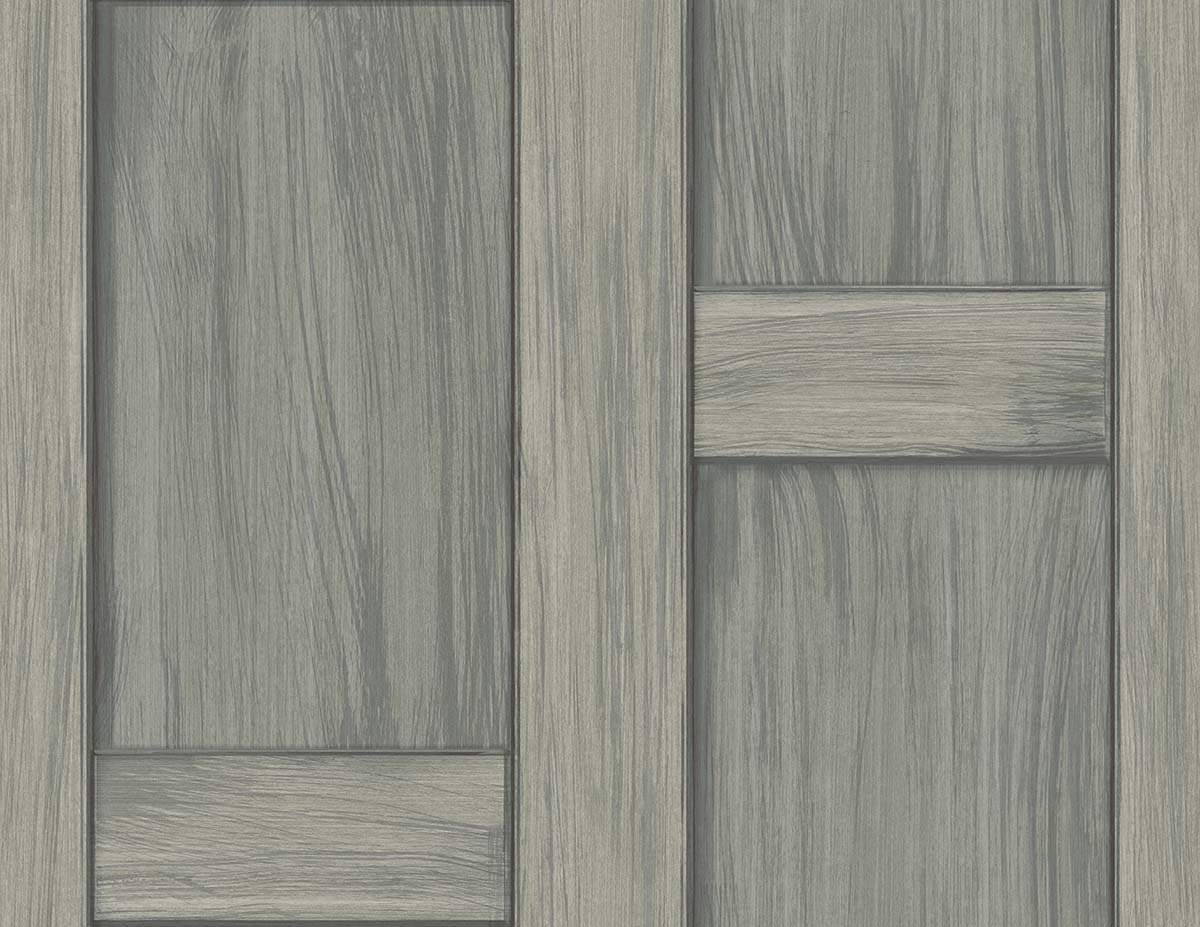 Carl Robinson 21 CL71618