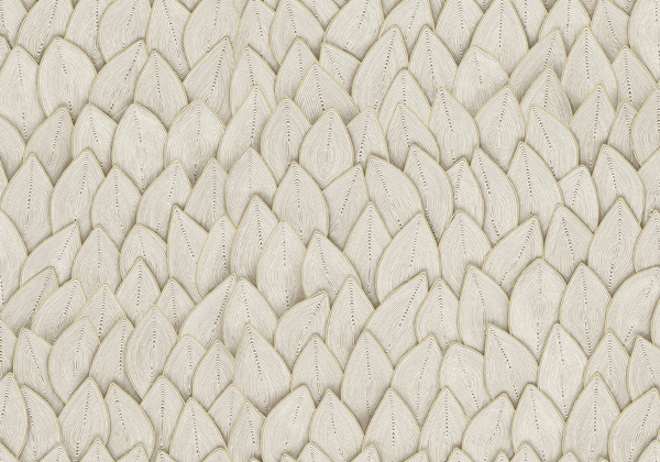 Cordes Sensibles VP993/01