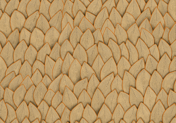 Cordes Sensibles VP993/11