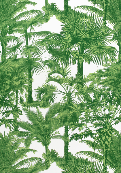 PALM BOTANICAL F910103