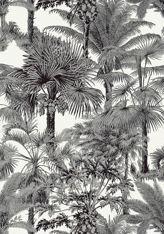 PALM BOTANICAL T10102