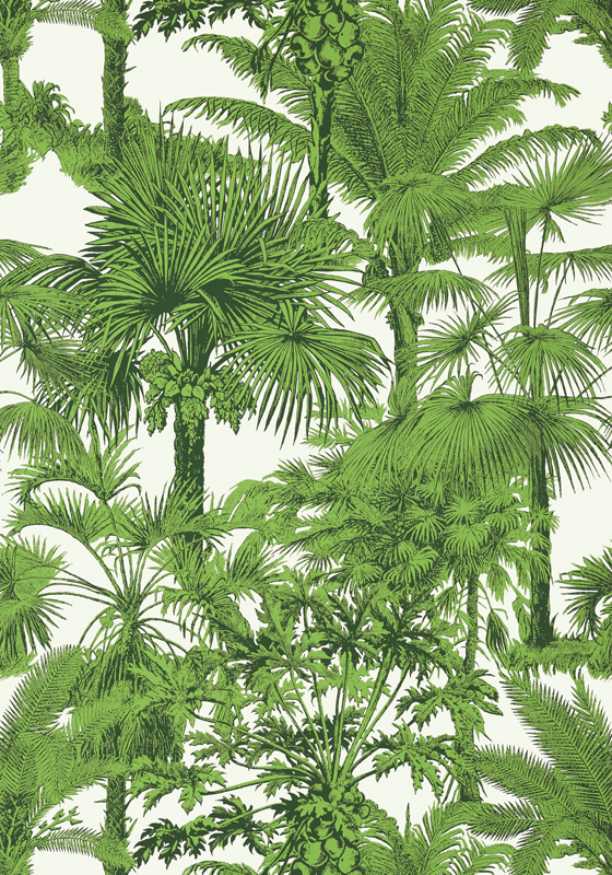 PALM BOTANICAL T10103