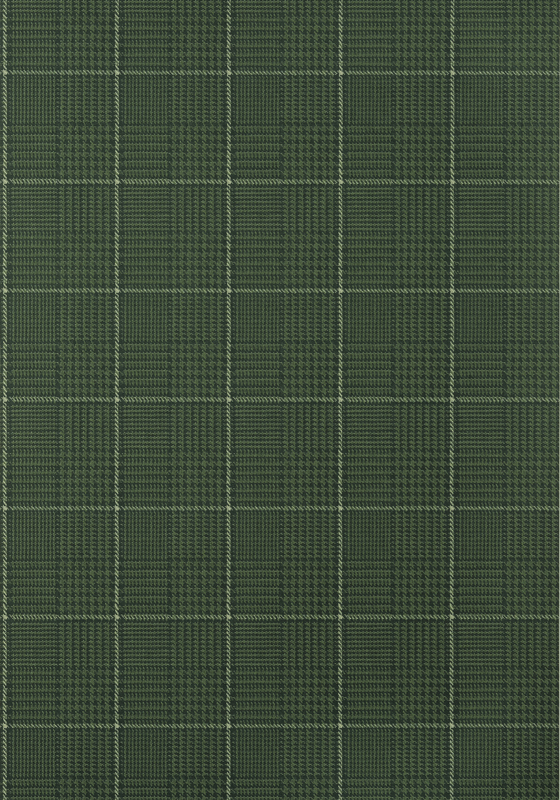 GRASSMARKET CHECK T10202