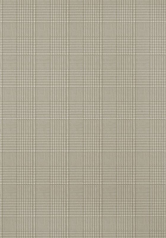 GRASSMARKET CHECK T10205