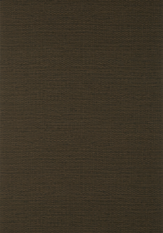 Prairie Weave T10929