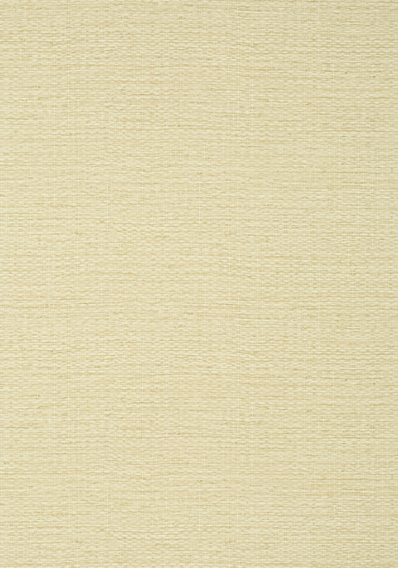 Prairie Weave T10962