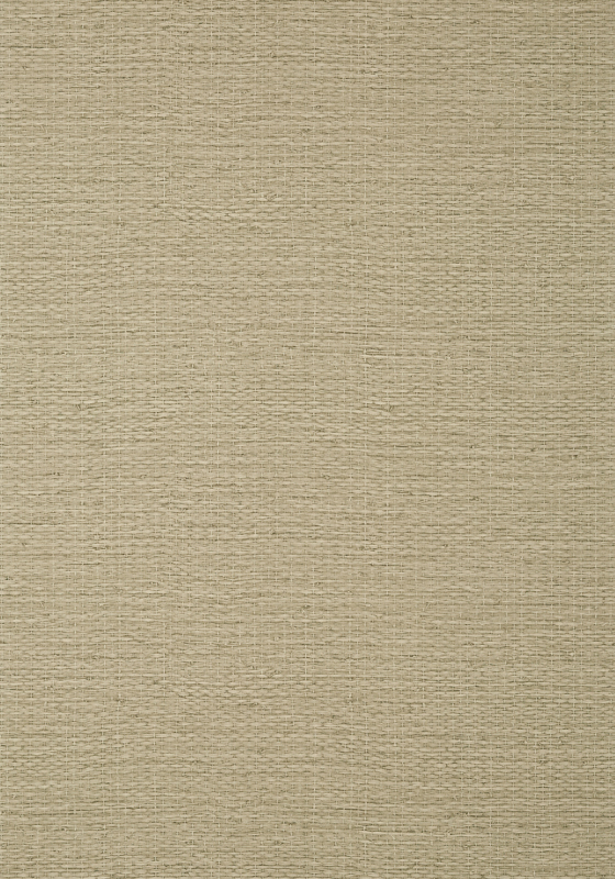 Prairie Weave T10963