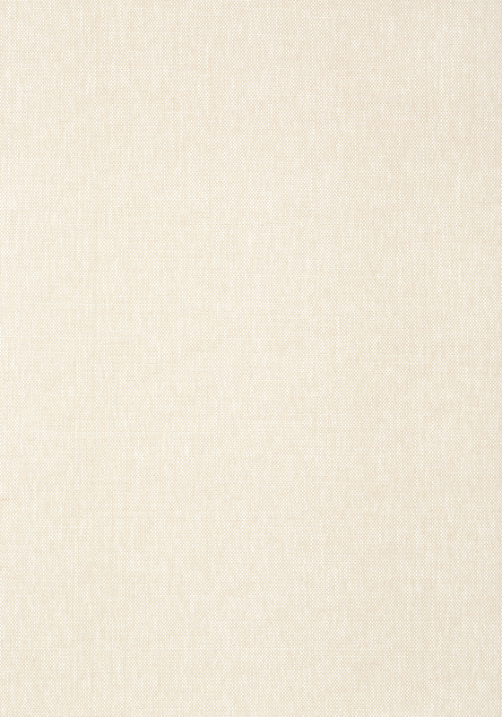 Paper Linen T24133
