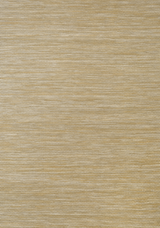 Cape May Weave T27008