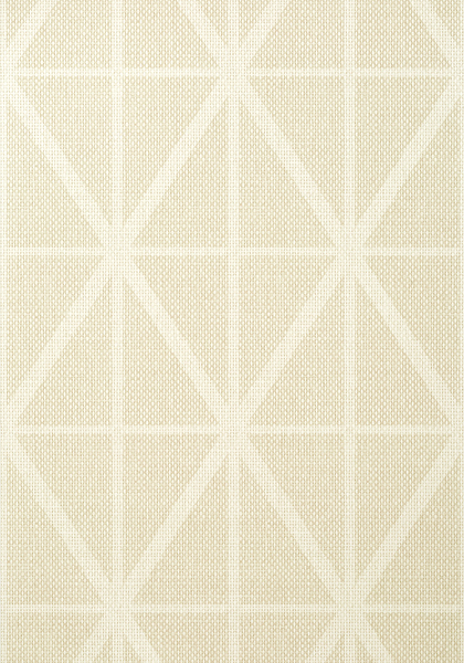 CAFE WEAVE TRELLIS T358