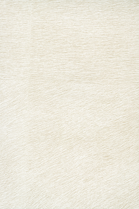 Memoires D.Kağıdı (70cm*10m) VP625/02