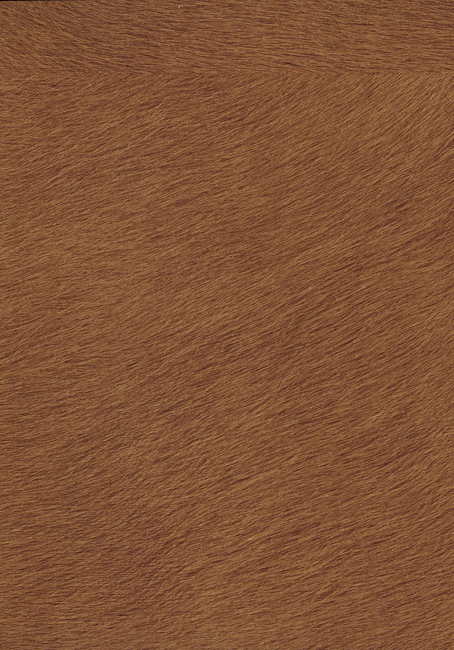 Memoires D.Kağıdı (70cm*10m) VP625/10