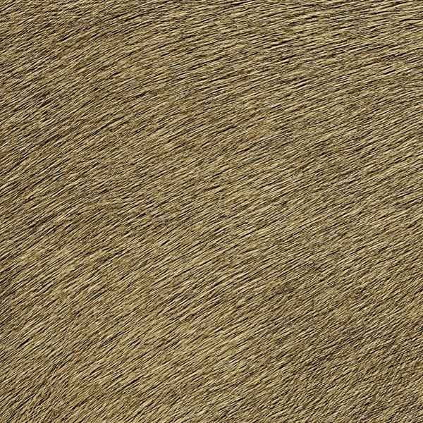 Memoires D.Kağıdı (70cm*10m) VP625/32