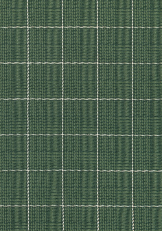 GRASSMARKET CHECK W710202