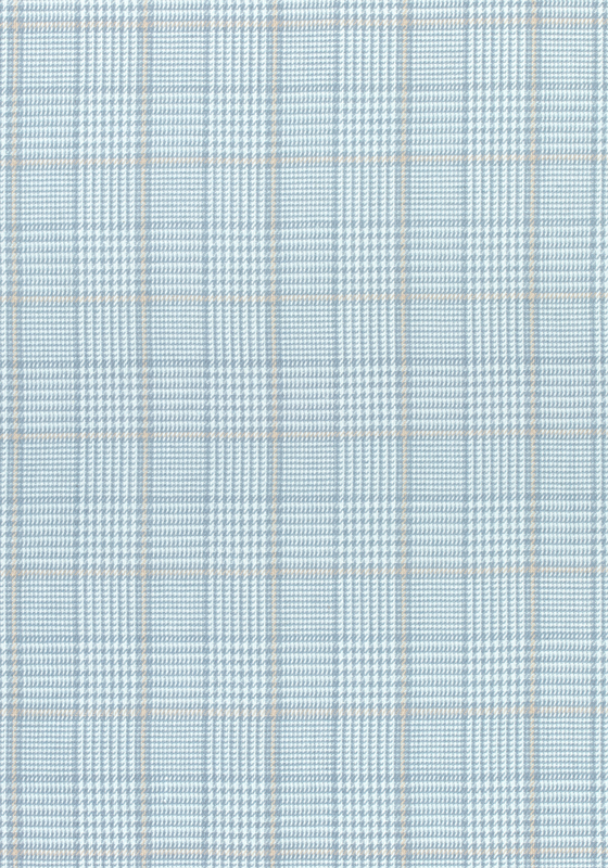 GRASSMARKET CHECK W710203