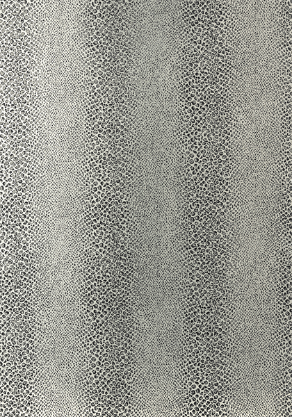 MAMBA ON MYLAR AT7922