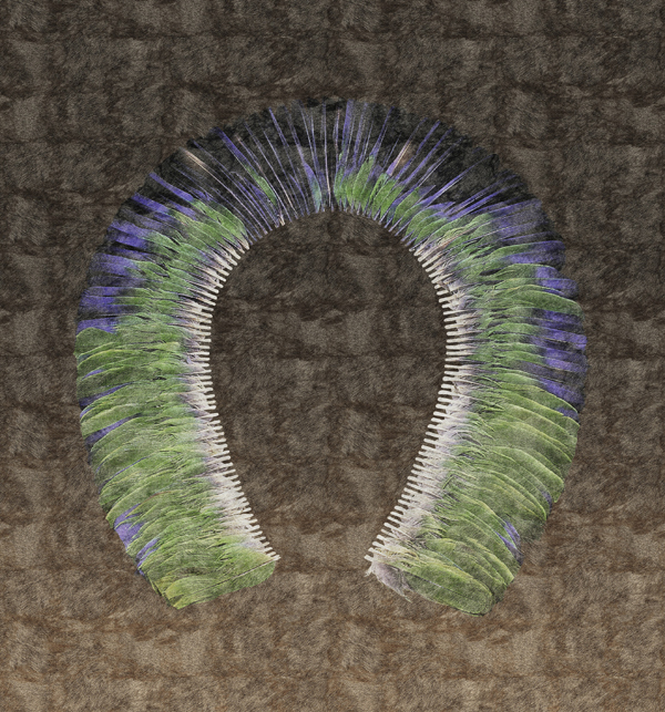 The spirit of natives DM625/01