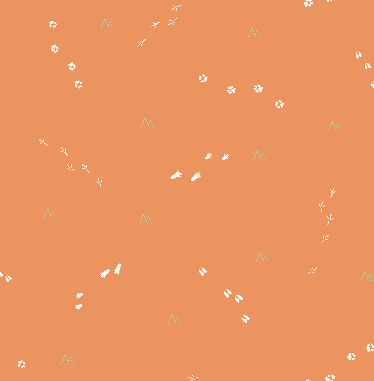 Animal Tracks FA41307