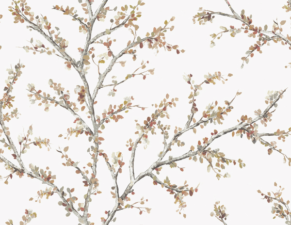 Woodlands Resource JB20201