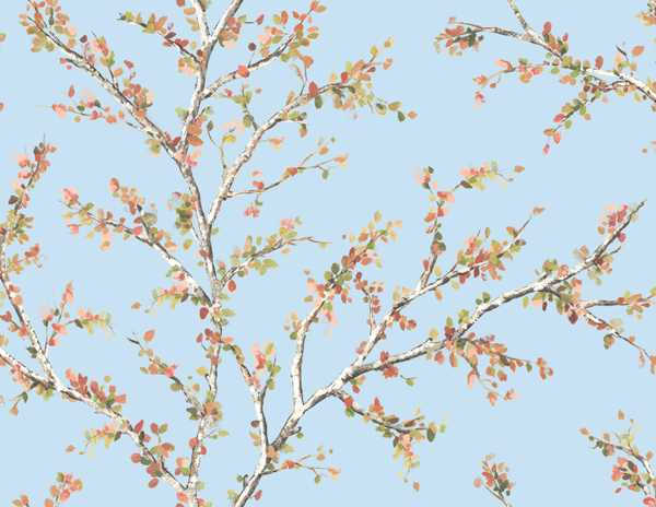 Woodlands Resource JB20202