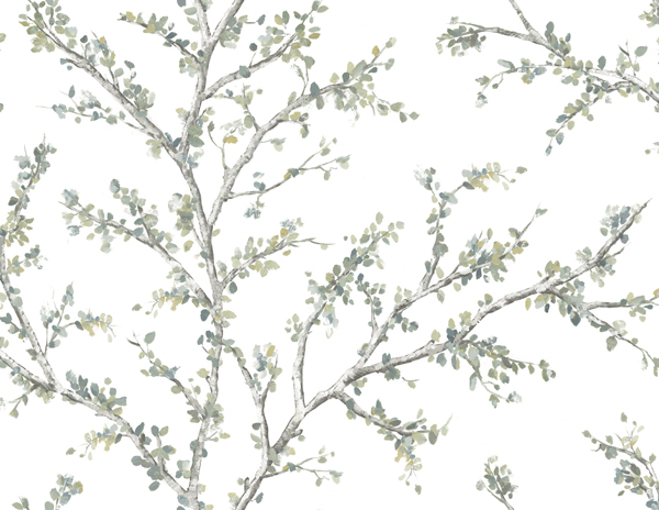 Woodlands Resource JB20204