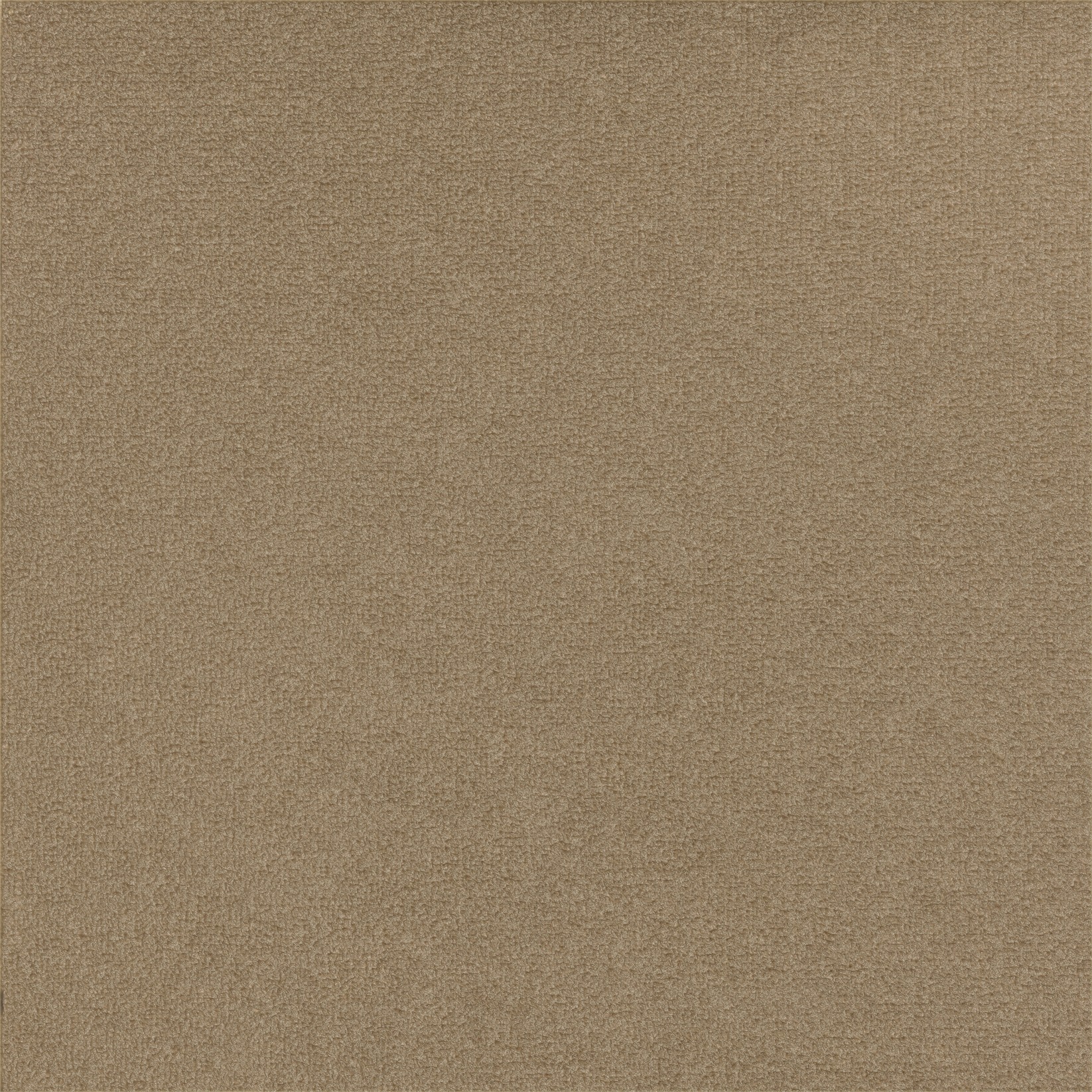 TSAR La caresse du vent LB691/10