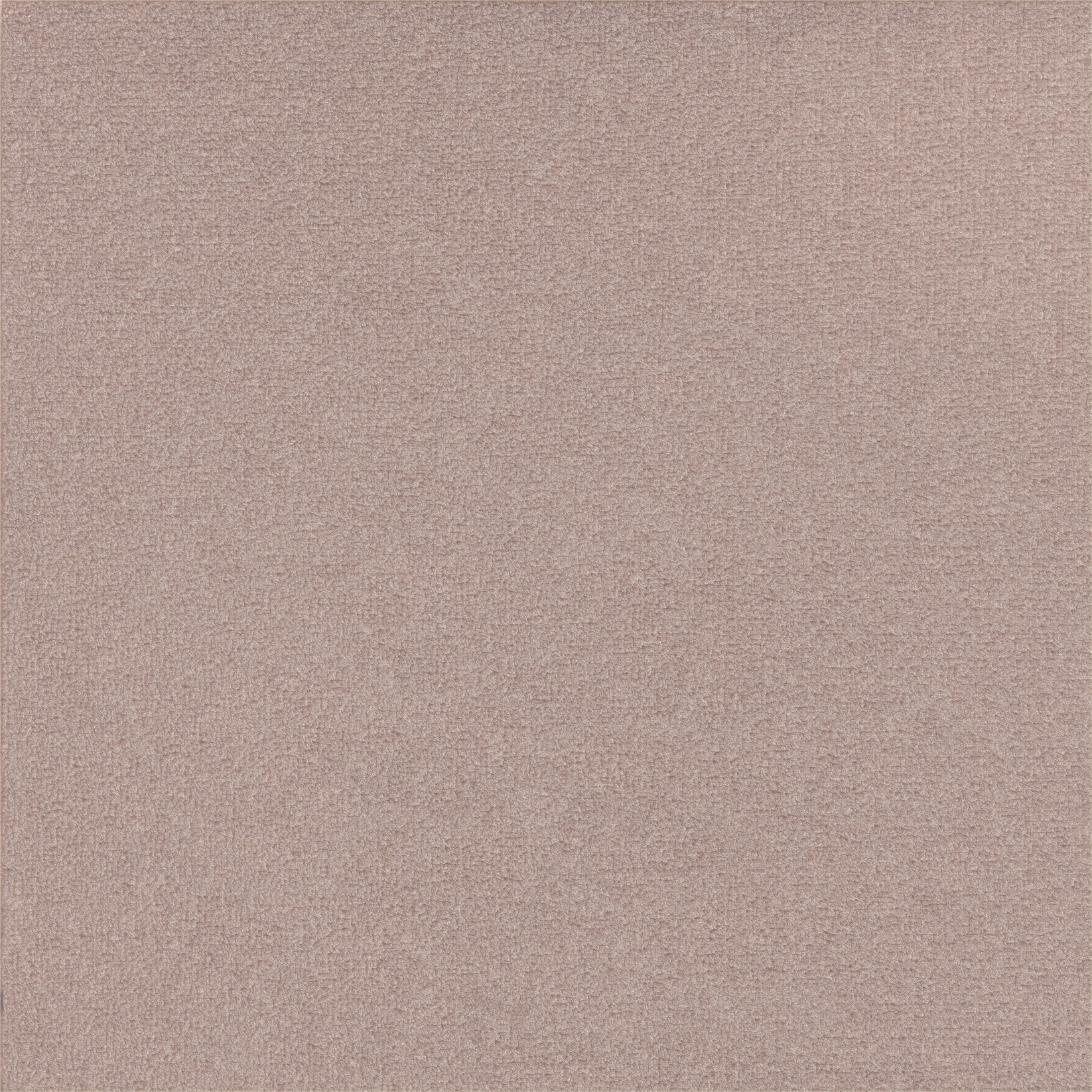 TSAR Un brin de poésie LB691/51