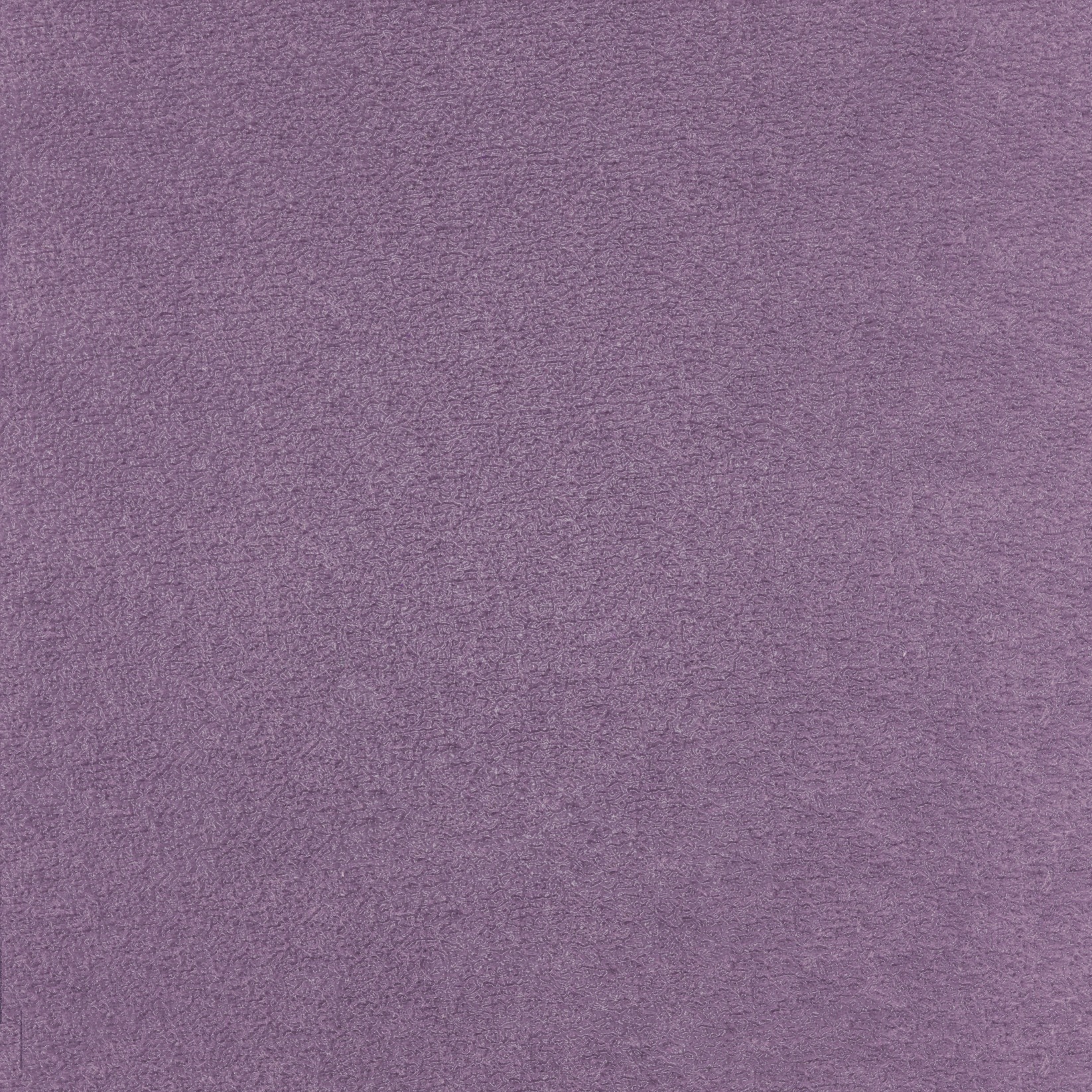 TSAR Fidèle à ses obsessions LB691/55