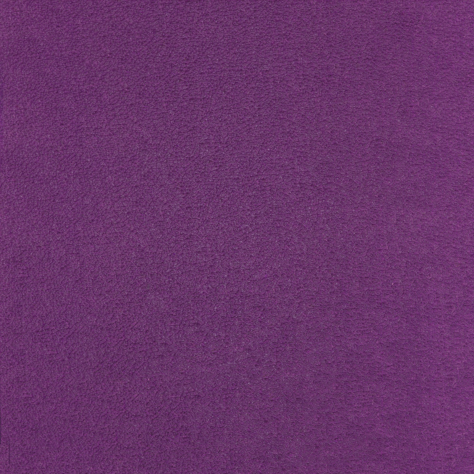 TSAR Sa force de séduction LB691/58