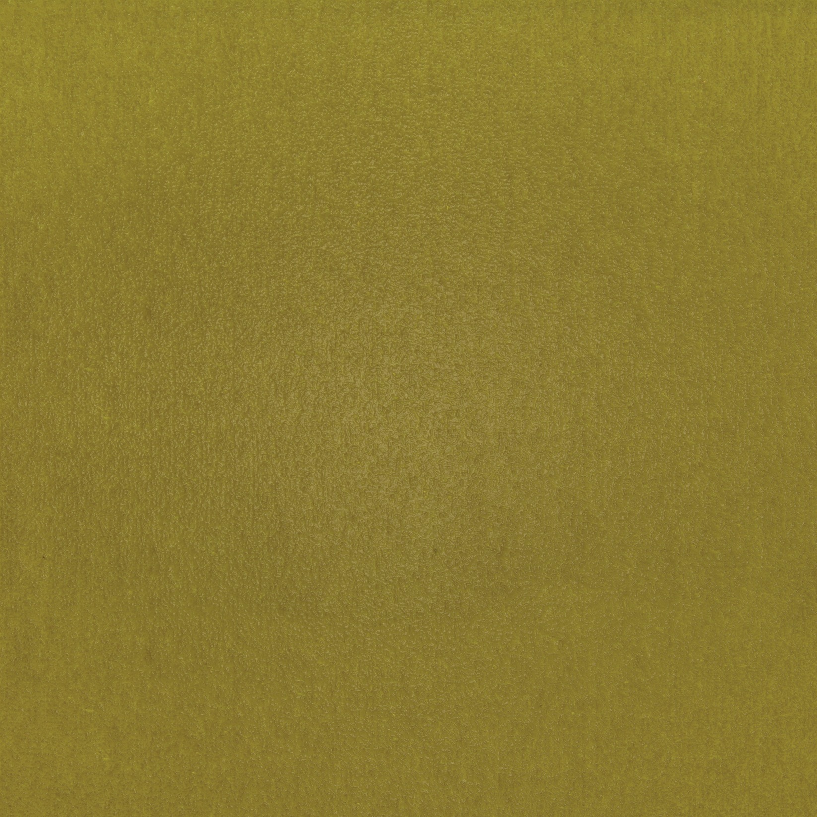 TSAR Lichens ensoleillés LB691/62