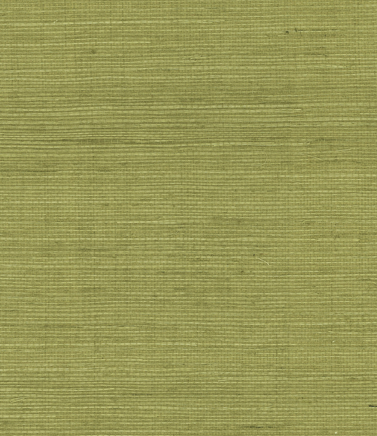 Lillian August ln11804