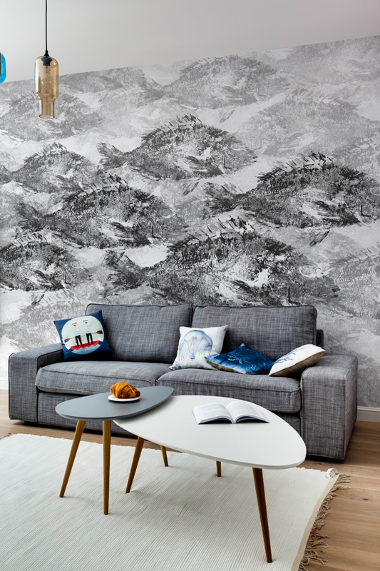 POISSONS DANCE M2501-4