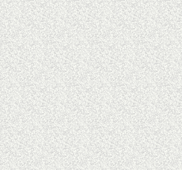 White on White OY34210