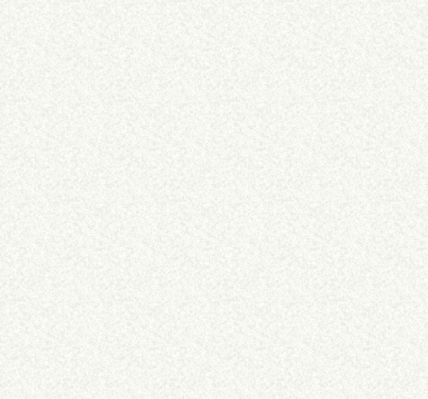 White on White OY34220