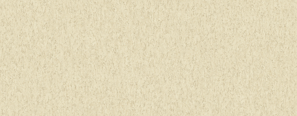 White on White OY34646