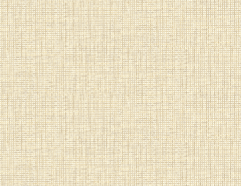 Palm Springs PS41306