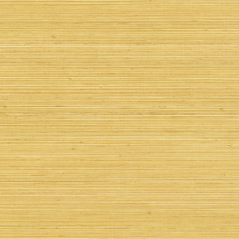 Coiba RM110/20